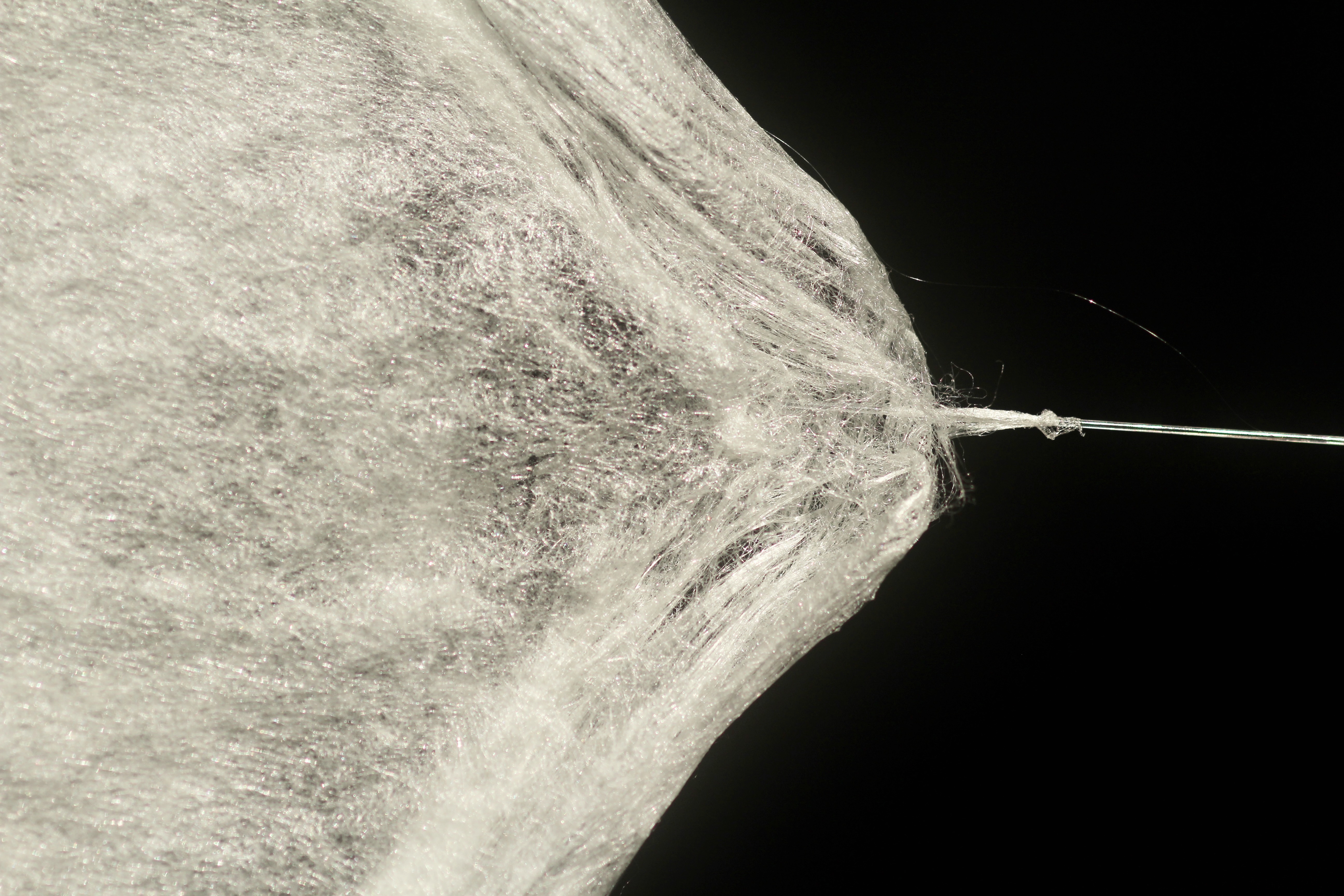 SILK-BioCraft Image 3